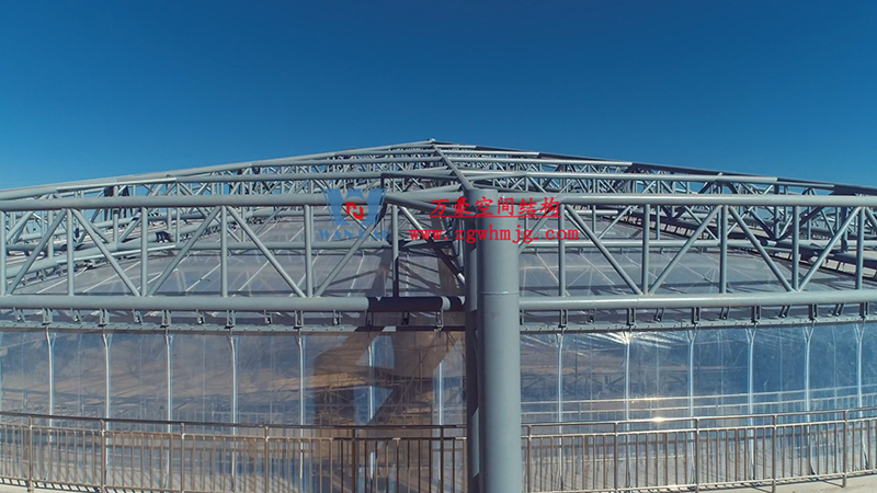 1677464642918256.jpg 2.jpg