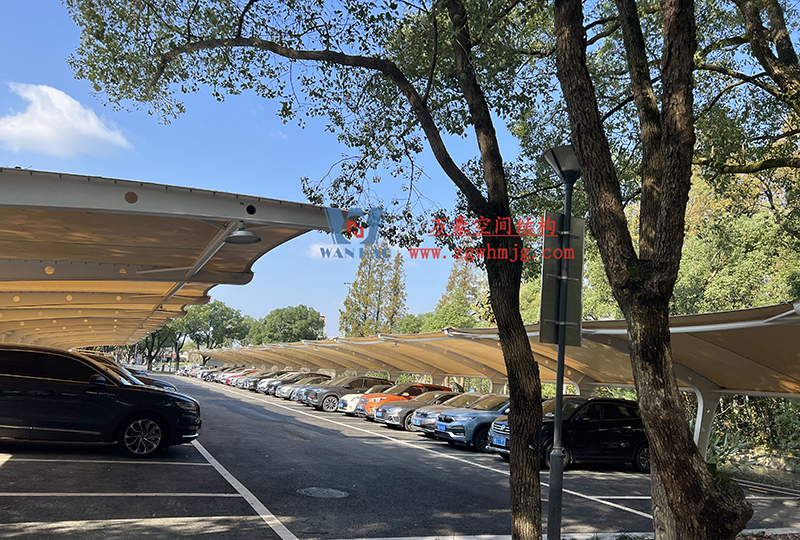 1677828477210687.jpg b.jpg